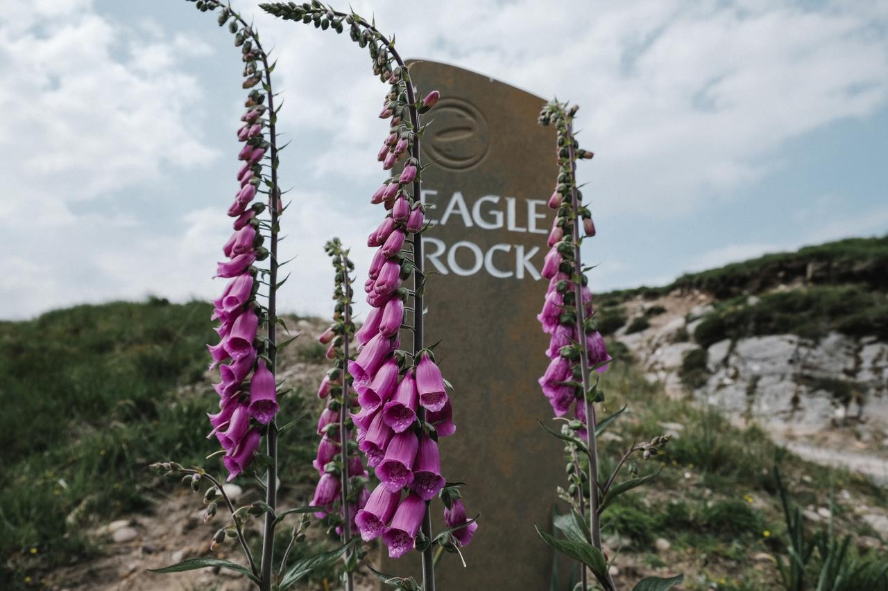 Eagle Rock, Near Skye Villa Strathcarron Exteriör bild